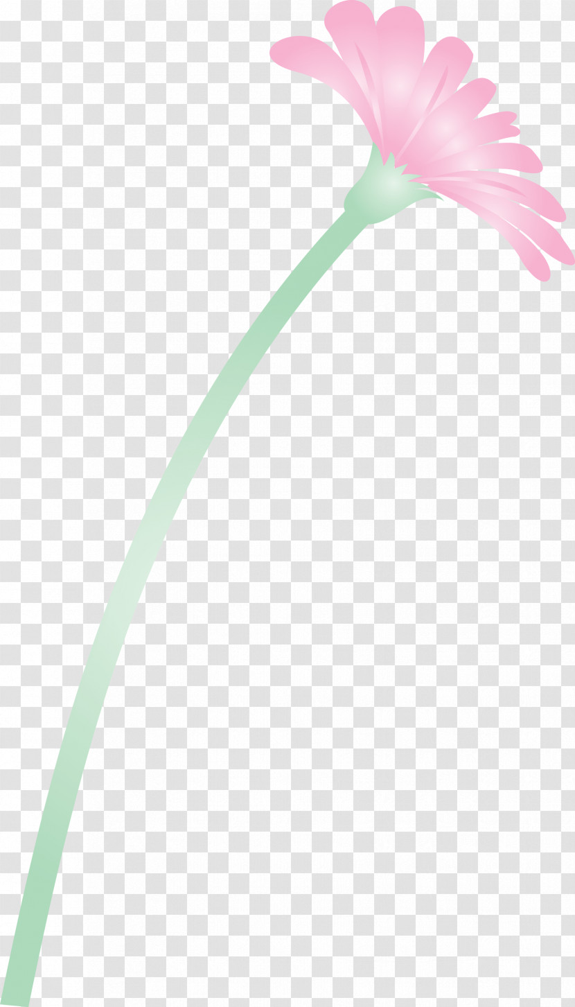 Dandelion Flower Transparent PNG