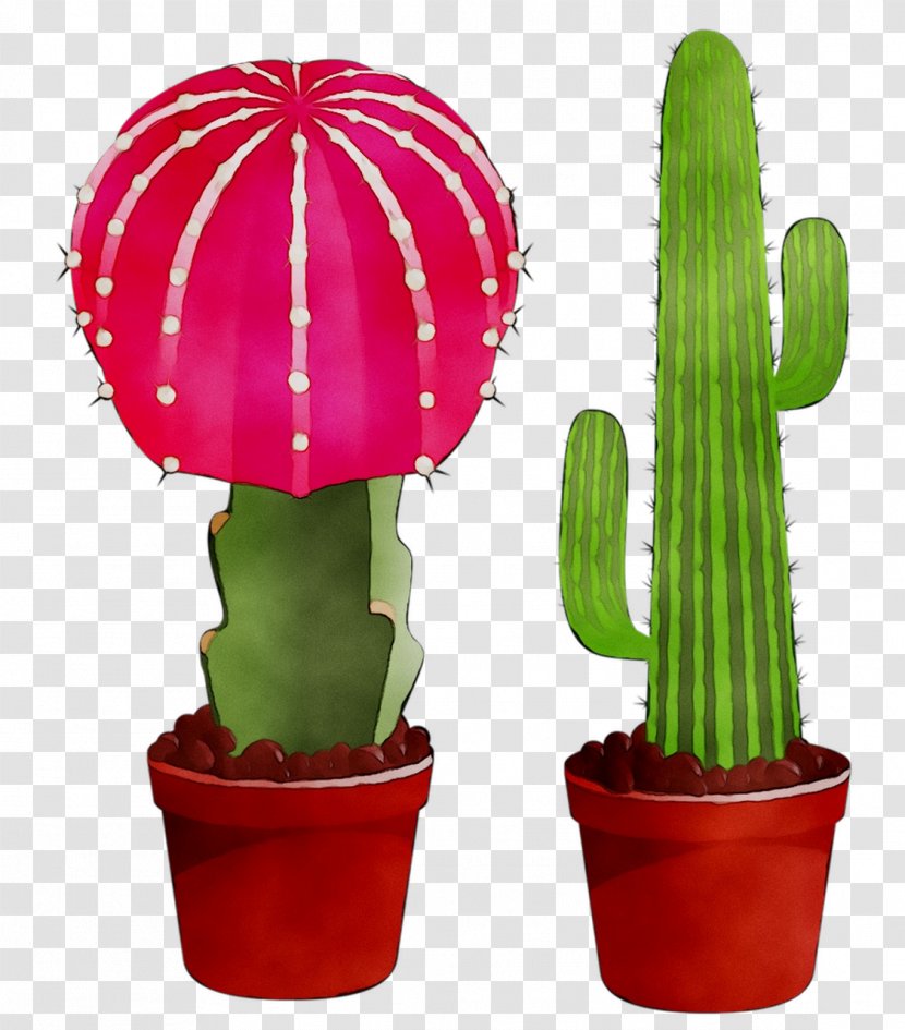 Clip Art San Pedro Cactus Image - Acanthocereus Tetragonus Transparent PNG