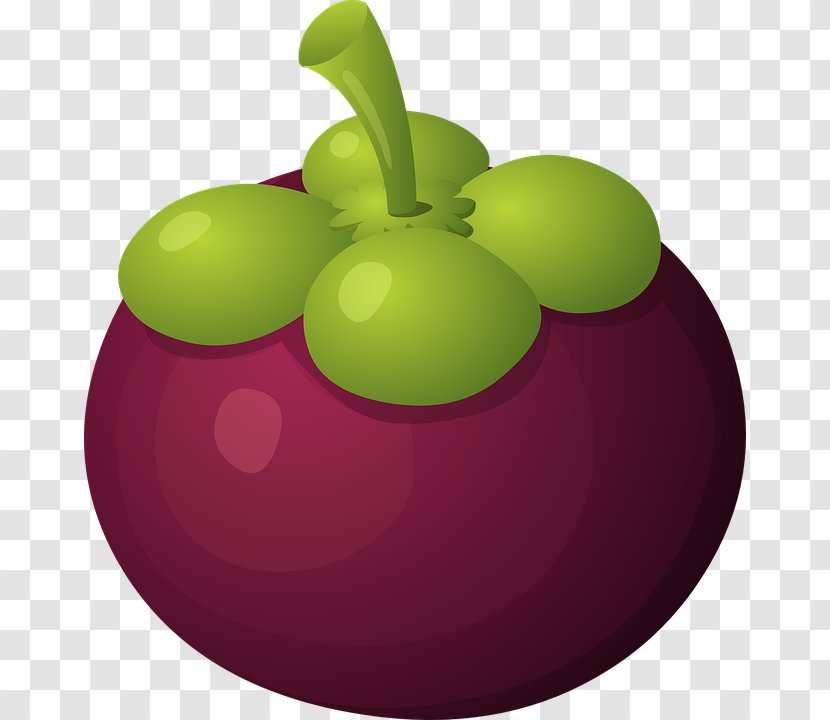 mangosteen fruit png