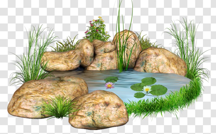 Stone Body Of Water Landscape Design Pond Clip Art - Grass - Mo He Transparent PNG