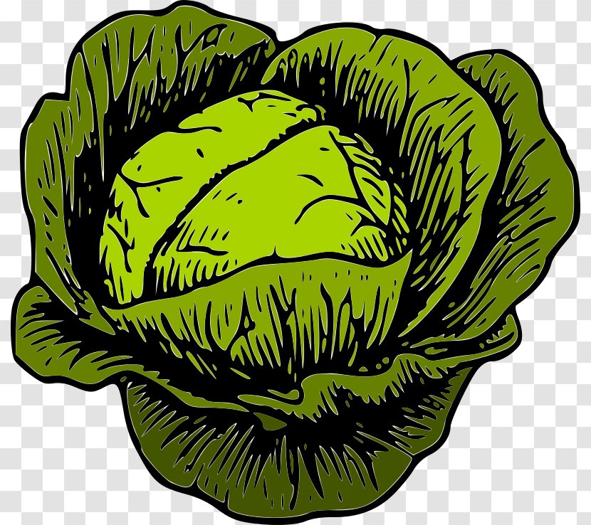 Savoy Cabbage Leaf Vegetable Clip Art - Organism Transparent PNG