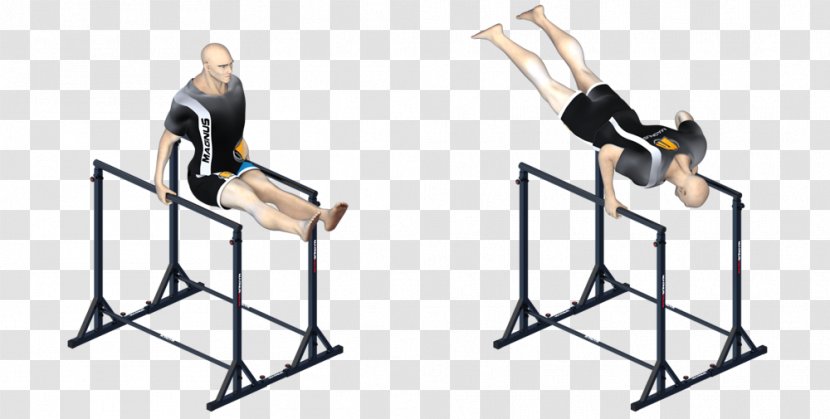 Parallel Bars Training Dip Handrail Weightlifting Machine - Barbell - Haakon Magnus Day Transparent PNG