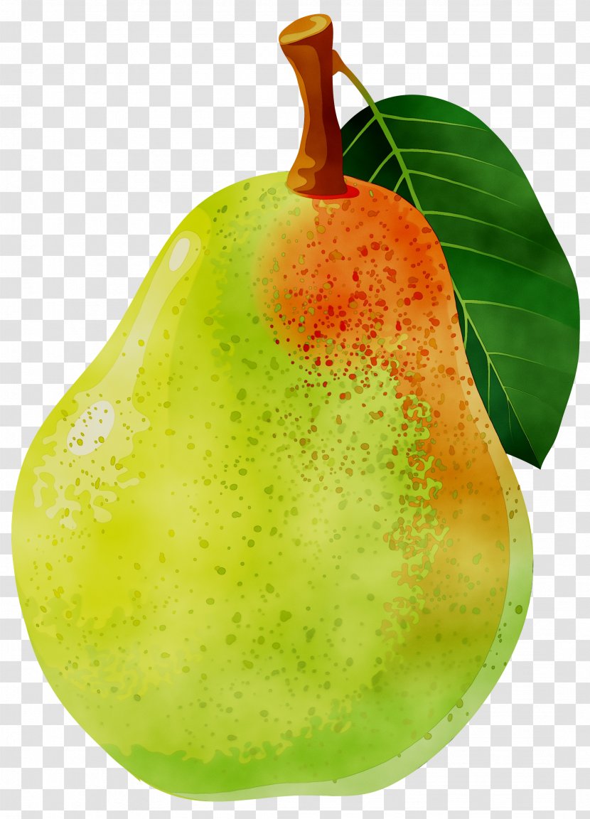 Clip Art Openclipart Free Content Bosc Pear - Asian Transparent PNG