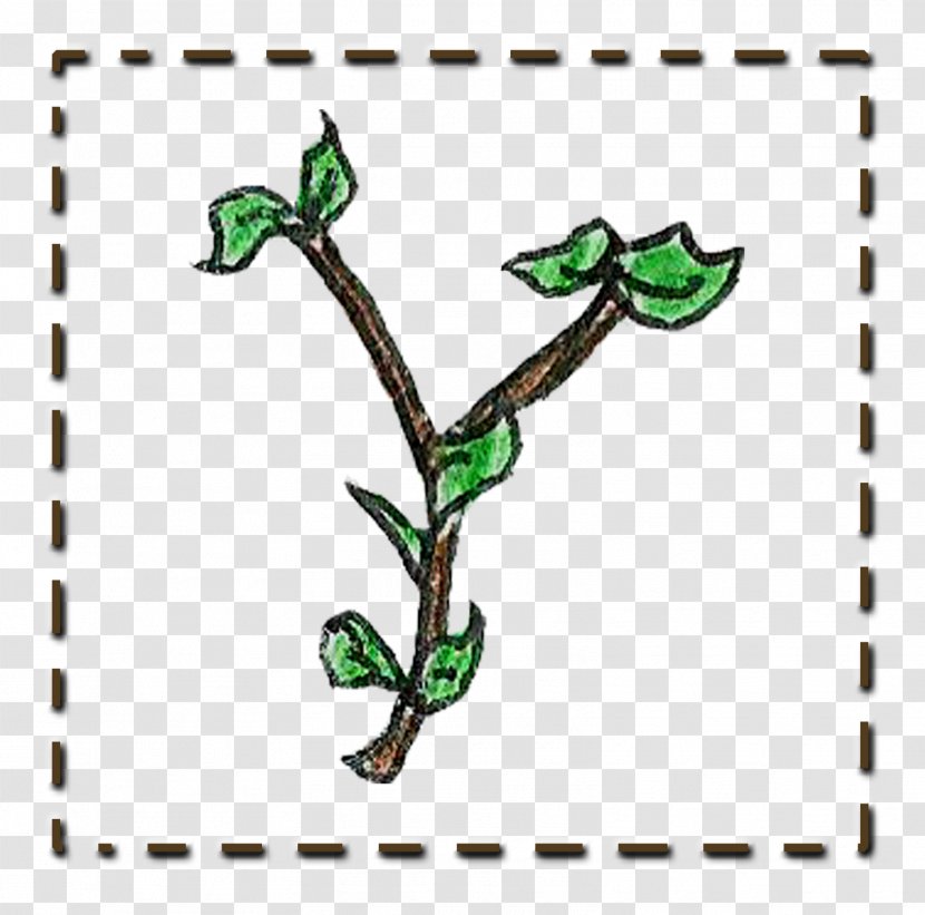 Twig Plant Stem Tree Leaf - Area - TWIG Transparent PNG