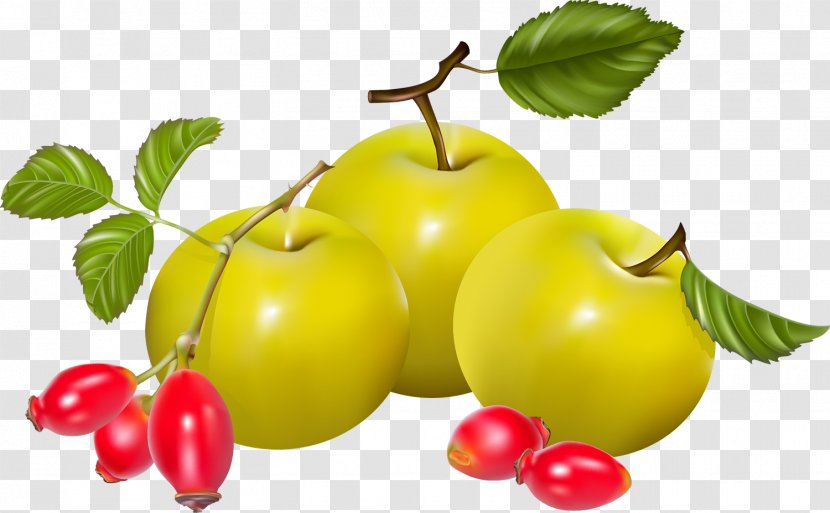 Juice Pear Auglis Vegetable - Berries Transparent PNG