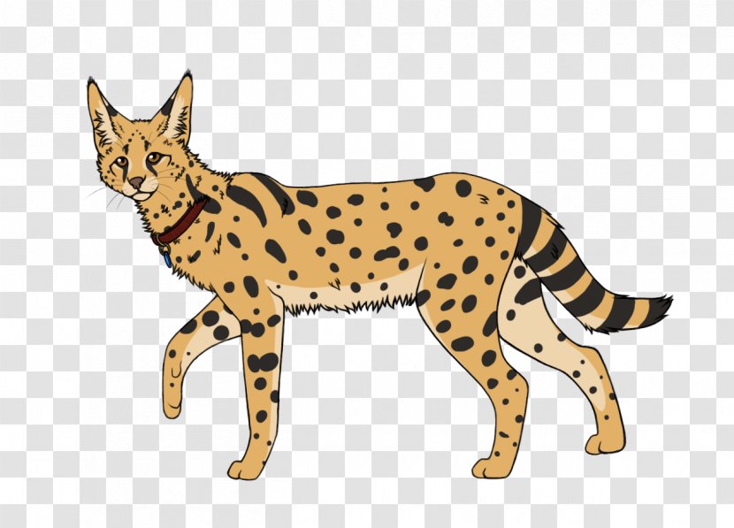 Whiskers Cheetah Wildcat Dog Transparent PNG
