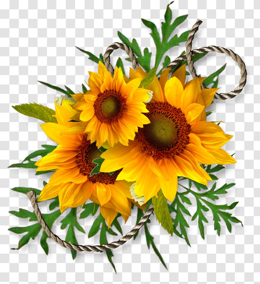 Common Sunflower Seed Clip Art - Floristry - Leaf Transparent PNG