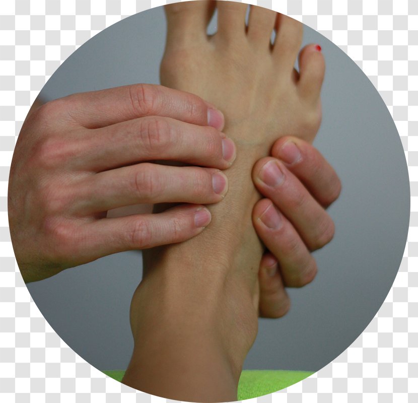 Osteopathy Manual Therapy Waltenhofen Hand Model - Portrait Photo Transparent PNG
