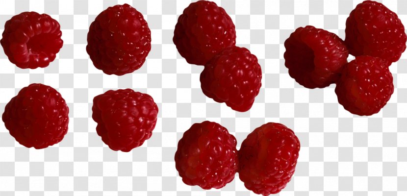 Raspberry Strawberry Clip Art - Parent Transparent PNG