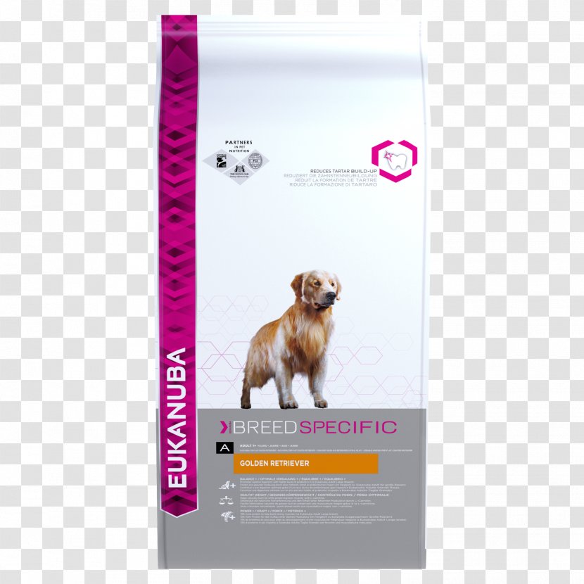 Golden Retriever English Cocker Spaniel Labrador Boxer Dachshund Transparent PNG