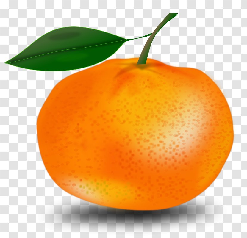 Orange Free Content Clip Art - Tangelo - Pictures Of Oranges Transparent PNG