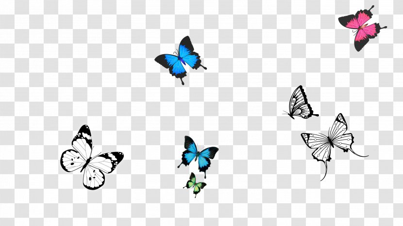 Butterfly Download - Wing - Fun Vector Transparent PNG