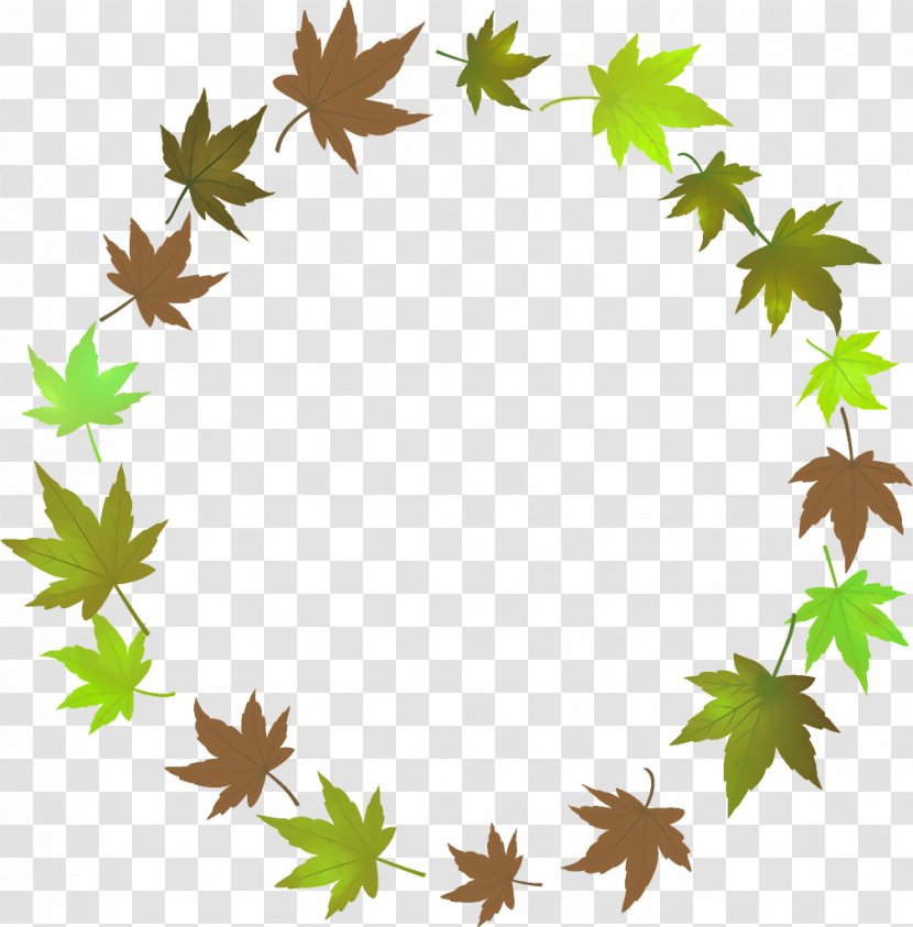Autumn Leaf Wreath Leaves Thanksgiving - Maple - Sweet Gum Ivy Transparent PNG