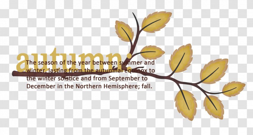 Autumn Maple Leaf - Text - Leaves Transparent PNG