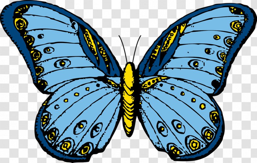 Butterfly Free Content Clip Art - Invertebrate - Illustrations Transparent PNG