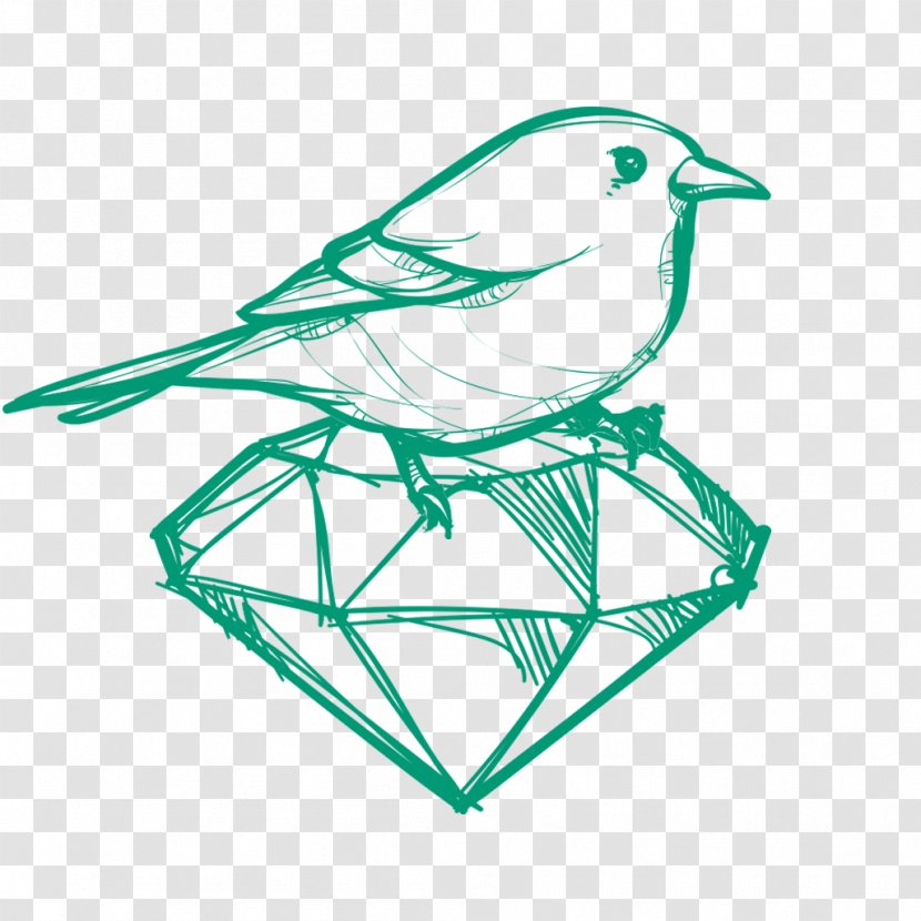 Bird Line Drawing - Spreadshirt - Finch Wildlife Transparent PNG