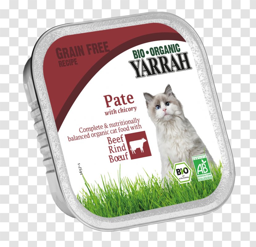 Organic Food Cat Chicken Pasta - Fish Transparent PNG
