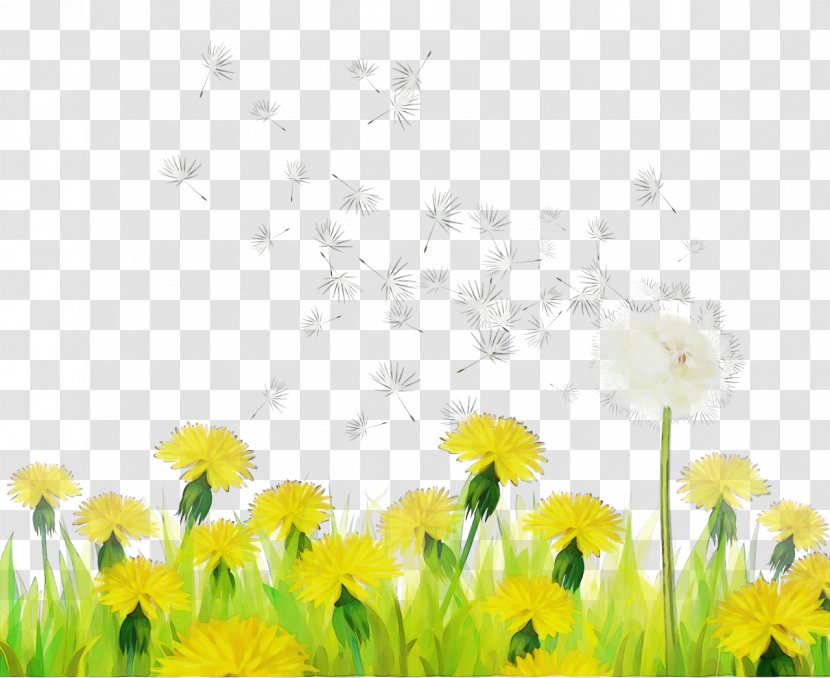 Drawing Of Family - Daisy Petal Transparent PNG