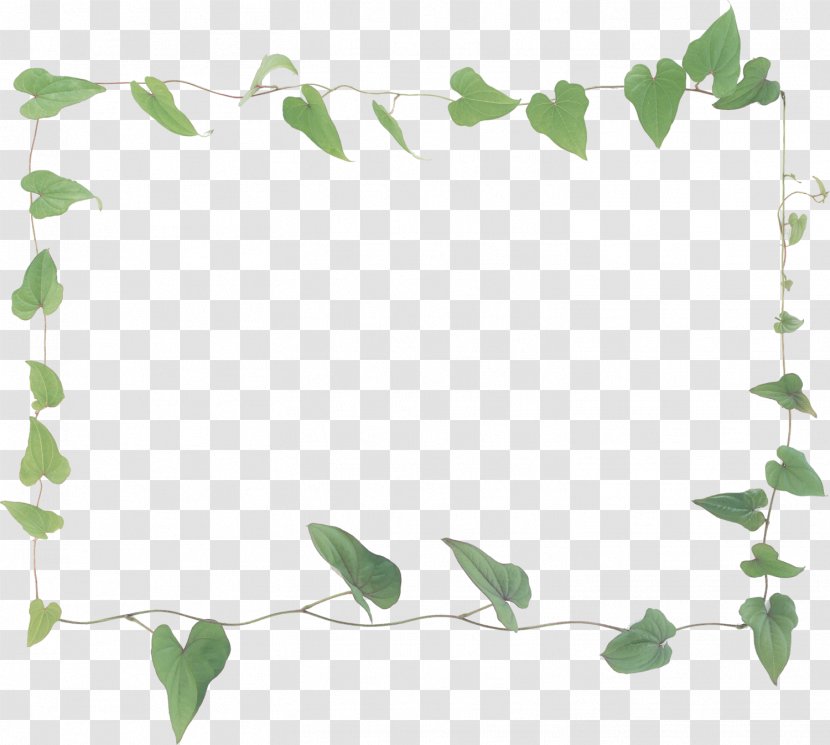 Green Flower Theme No Yellow Transparent PNG