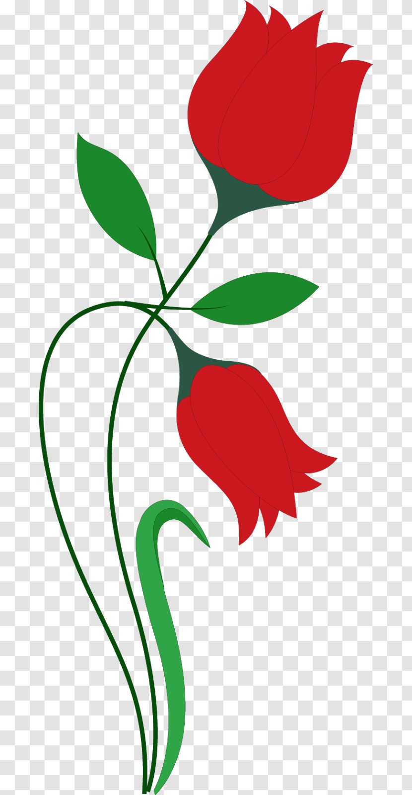 Flower Tulip - Plant - Red Transparent PNG