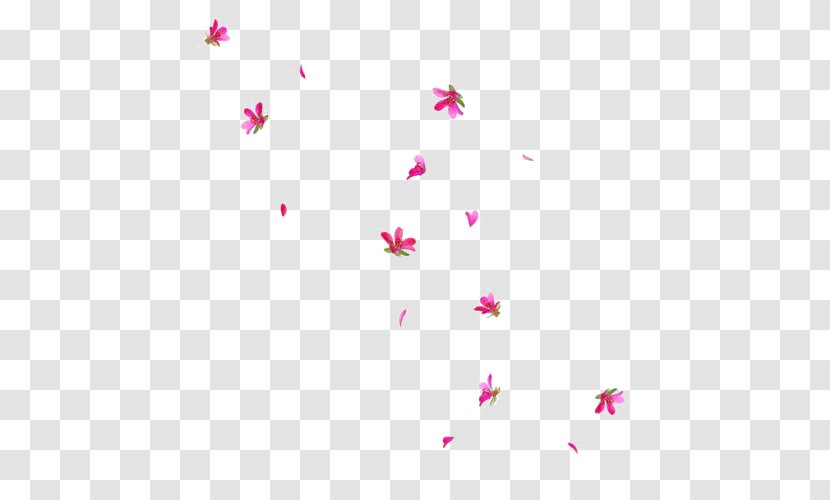 Flower Paper Drawing - Symmetry - Falling Petals Transparent PNG