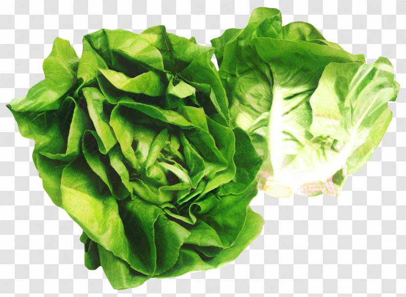 Green Leaf Background - Butterhead Lettuce - Vegetarian Food Spinach Transparent PNG