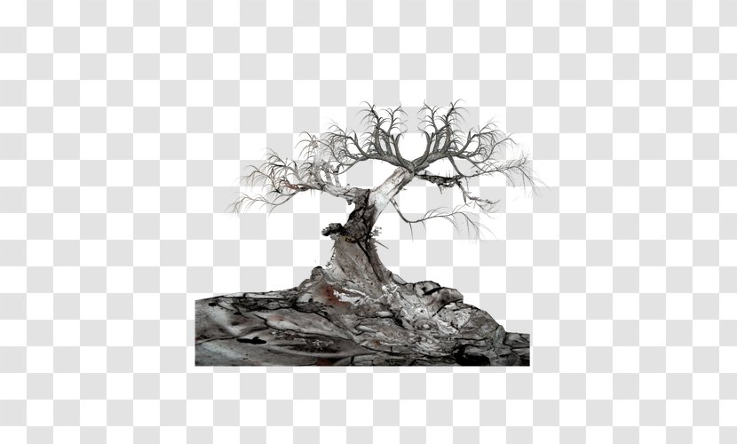 Tree Clip Art - Scope - Dark Stone Transparent PNG