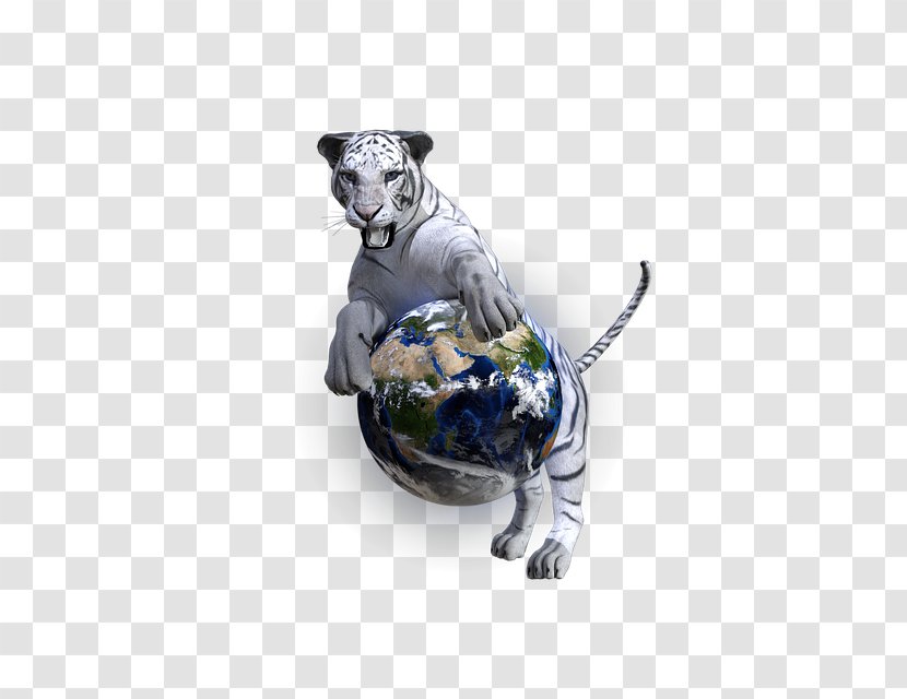 Felidae Wildcat Dalmatian Dog Bengal Tiger - Breed - Cat Transparent PNG