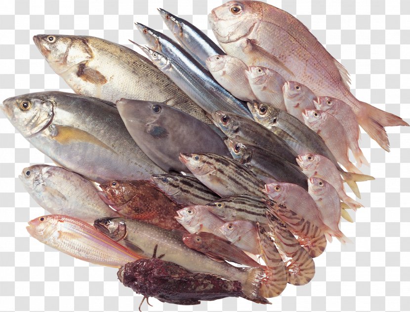 Seafood Fish As Food Stuffing Transparent PNG
