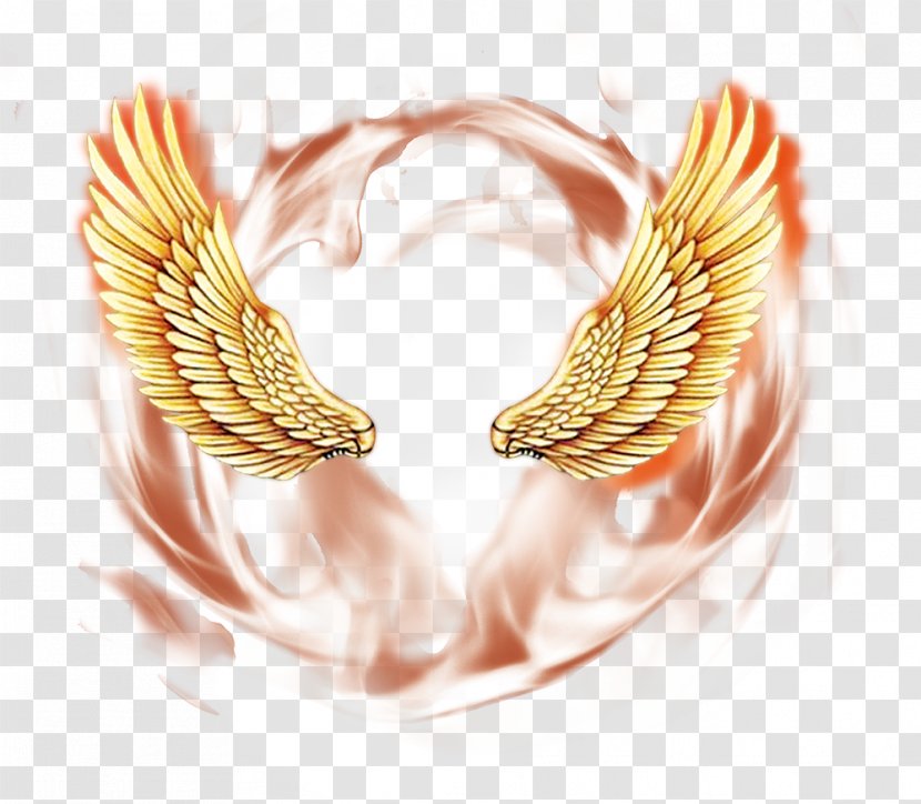 Angel Wings Psd Material Picture - System Resource - Fundal Transparent PNG