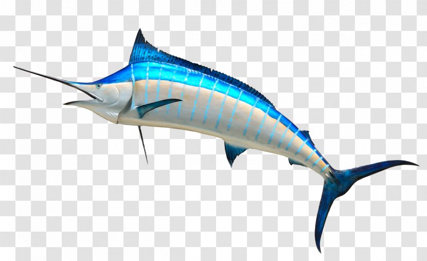 Atlantic Blue Marlin Royalty-free Clip Art - Stock Photography - Cliparts Outline Transparent PNG