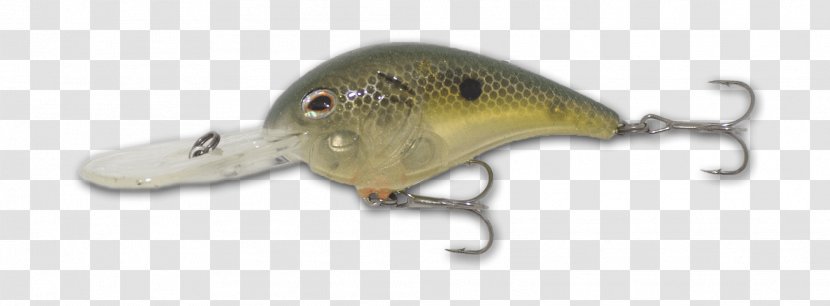 Spoon Lure Ghost Perch Trophy Technology Transparent PNG