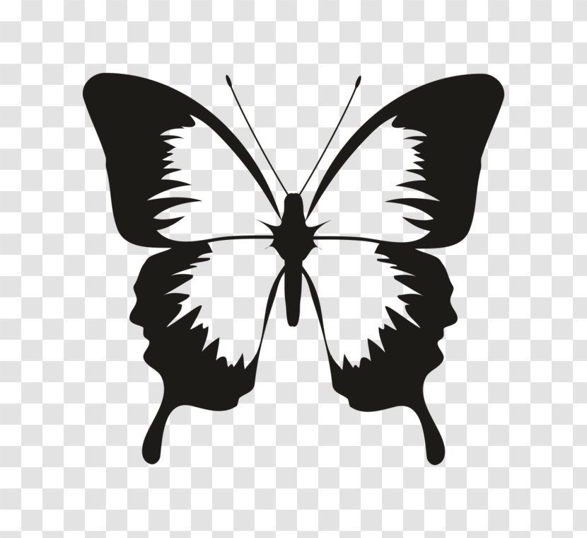 Butterfly Silhouette Vector Graphics Clip Art Insect - Royalty Payment - Animal Rubber Stamps Transparent PNG