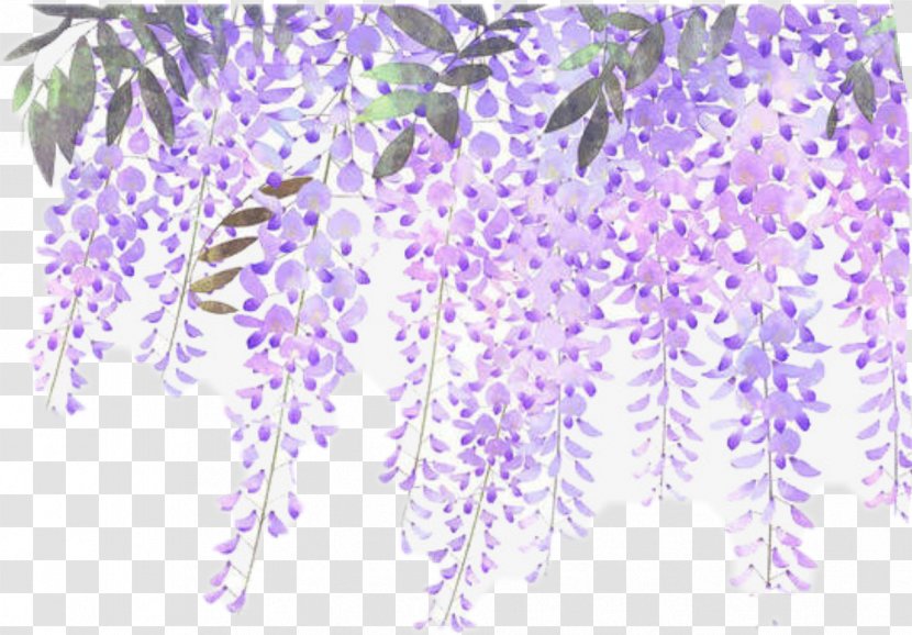 Flower Lavender Purple Floral Design Clip Art - Branch Transparent PNG