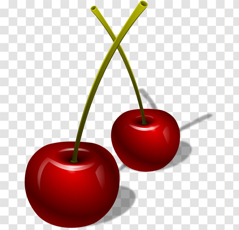 Cherry Cerasus Berry Clip Art - Plant Transparent PNG