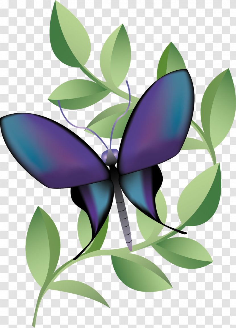 Vector Graphics Image Paper Illustrator - Leaf - Moths And Butterflies Transparent PNG