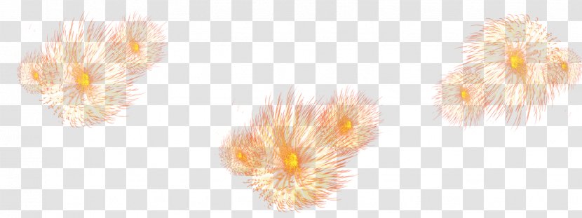 Light Fixture Petal Yellow Body Piercing Jewellery - Fireworks Floating Element Transparent PNG