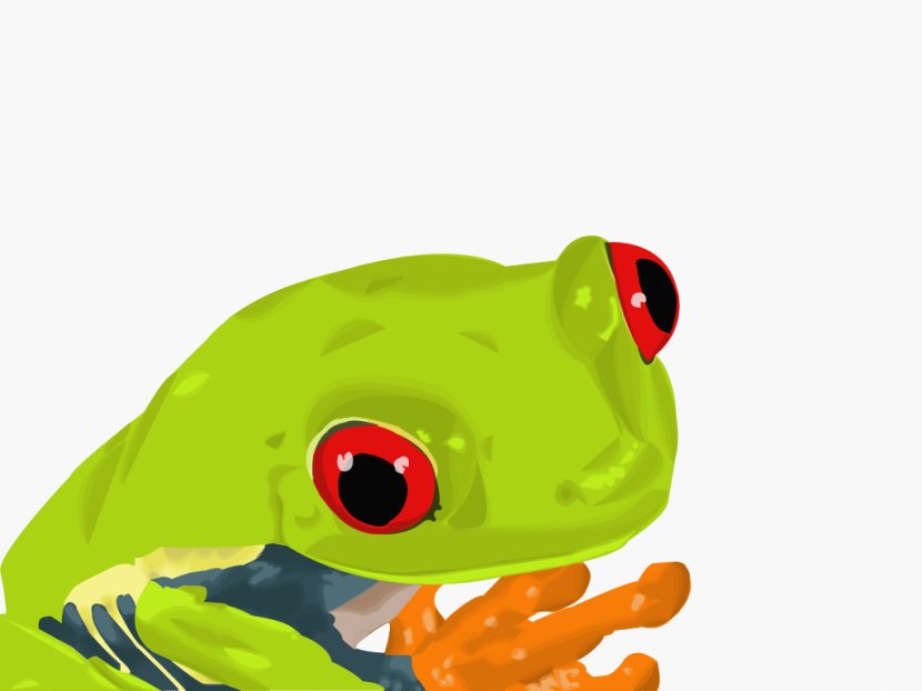 True Frog Amphibian And Toad - Green - Vector Cliparts Transparent PNG