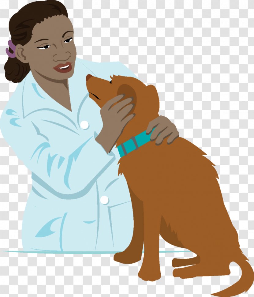 Puppy Pets At The Vet Veterinarian Clip Art Transparent PNG