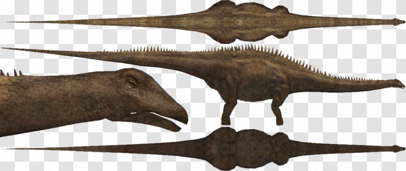 Diplodocus Allosaurus Velociraptor Apatosaurus Zoo Tycoon 2 - Dinosaur Transparent PNG