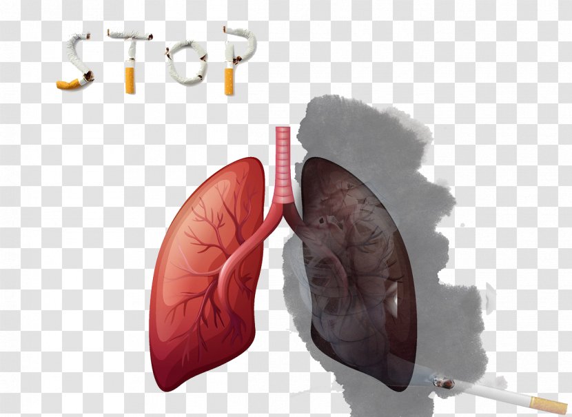 Smoking Is Hazardous To Health - Heart - Flower Transparent PNG