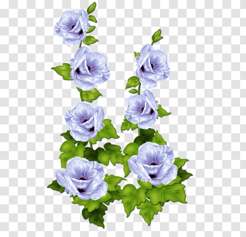 Cabbage Rose Blue Garden Roses Flower - Arranging Transparent PNG