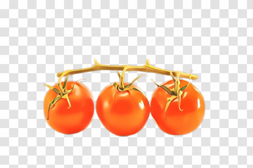 Tomato - Plum - Vegetable Plant Transparent PNG