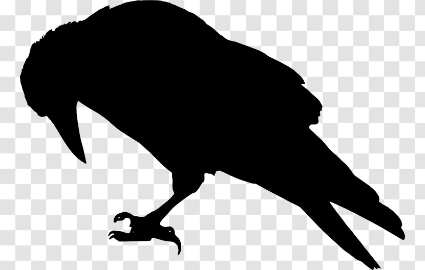 Rook Common Raven Bird Crow Clip Art - Beak - Vector Transparent PNG