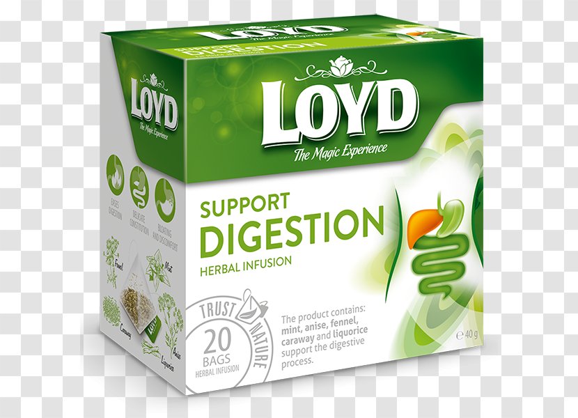 Green Tea Digestion Infusion Mate - Food - Chai Transparent PNG