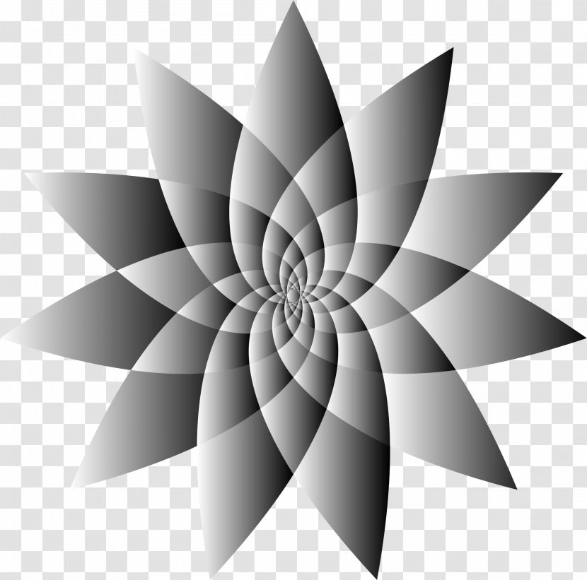 Black And White Line Art Drawing Flower Clip - Monochrome Photography Transparent PNG