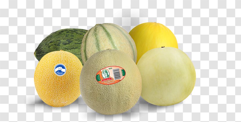 Honeydew Cantaloupe Watermelon Fruit - Melon Transparent PNG