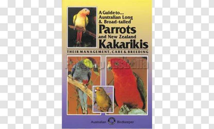 Lovebird Parrot Parakeet Cockatiel Kākāriki - Advertising Transparent PNG