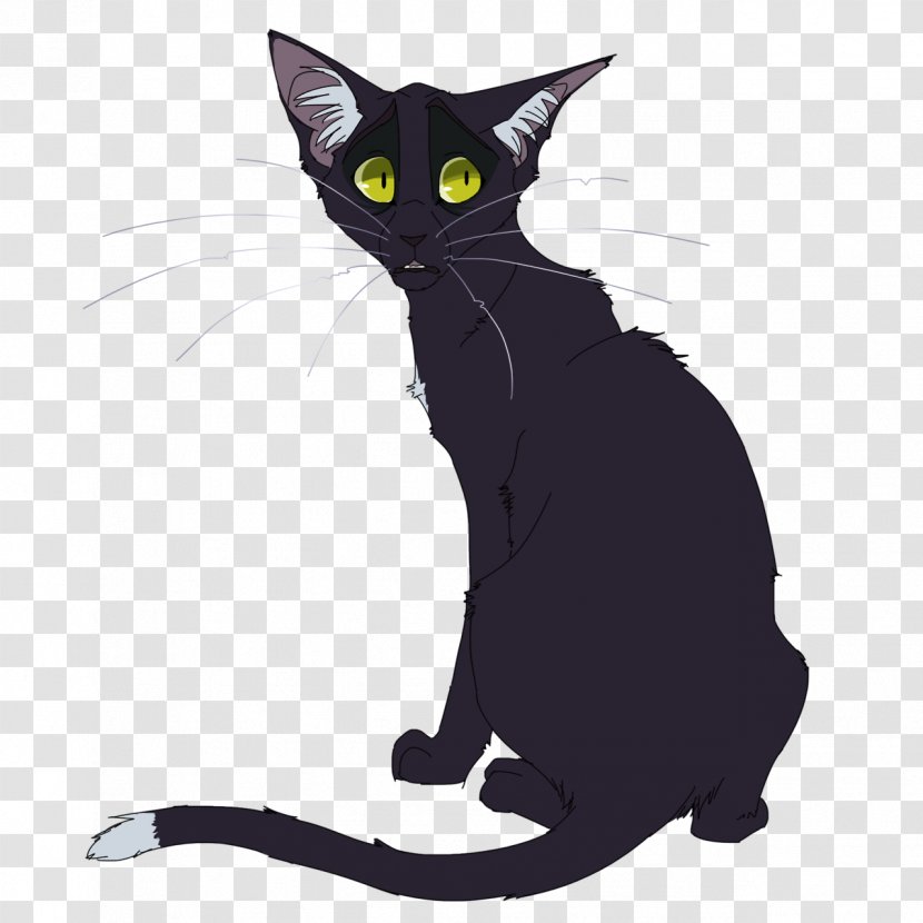 Cat Warriors Firestar Ravenpaw Erin Hunter - Swiftpaw Transparent PNG