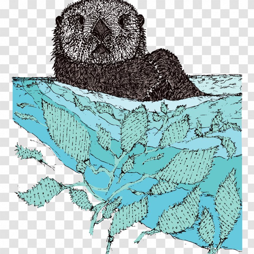 Bird Owl Sea Otter - Turquoise Transparent PNG